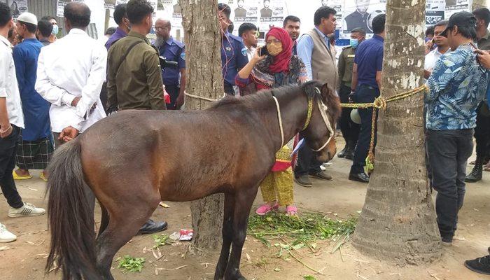 ভোট কেন্দ্র থেকে জীবন্ত ঘোড়া জব্দ
