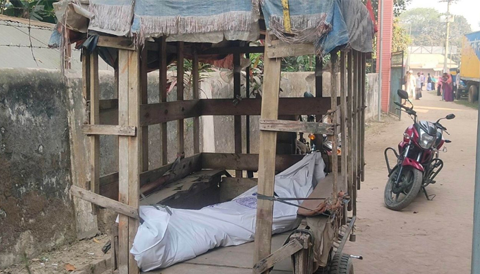 সলঙ্গায় মাকে পিটিয়ে হত্যা, ঘাতক ছেলে আটক