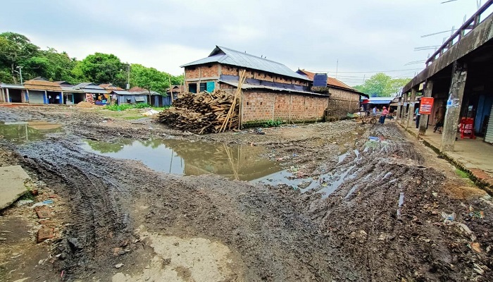 ময়লা-আবর্জনায় পাথারিয়া বাজারের বেহাল দশা