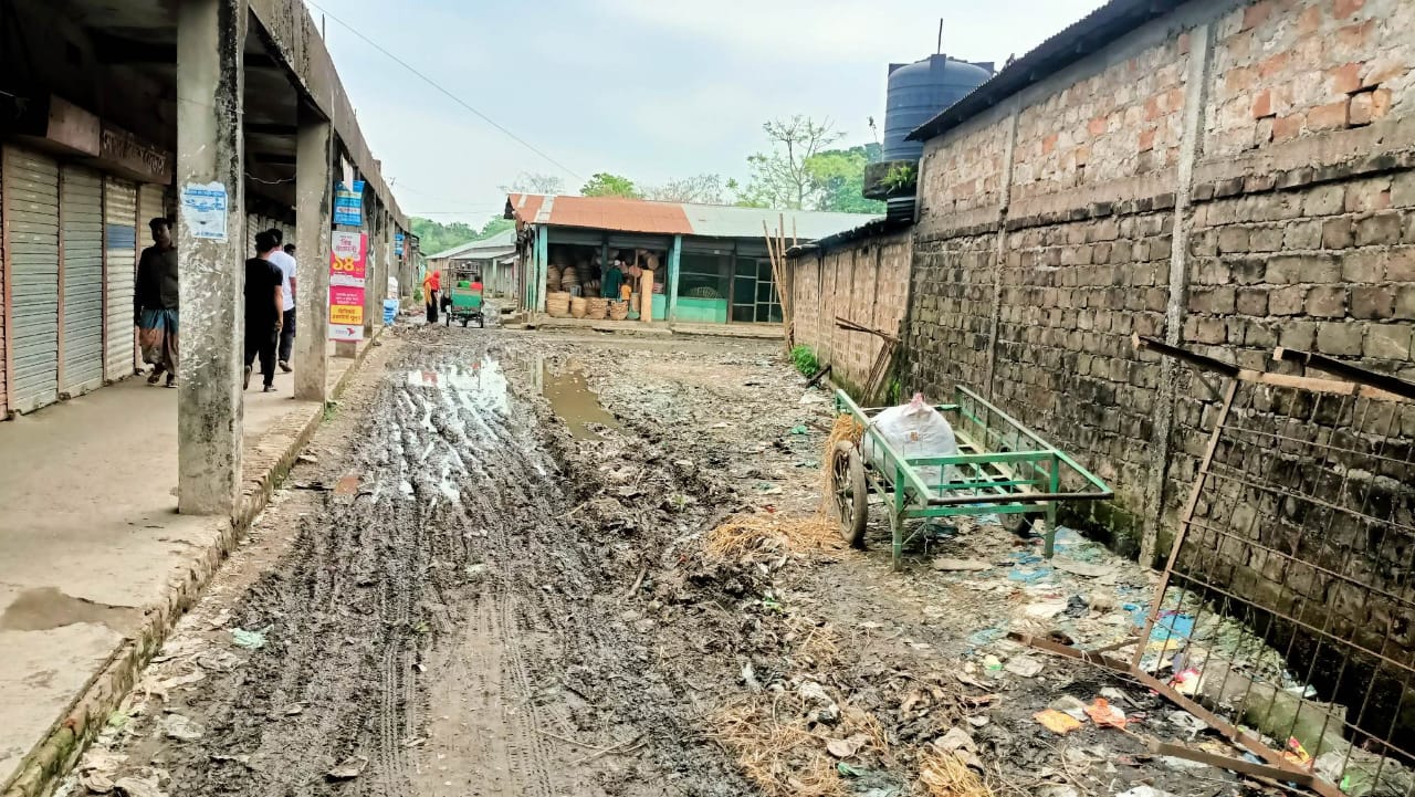 ময়লা-আবর্জনায় পাথারিয়া বাজারের বেহাল দশা