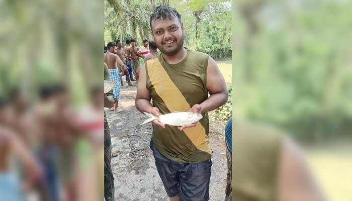 পুকুরে ইলিশ!