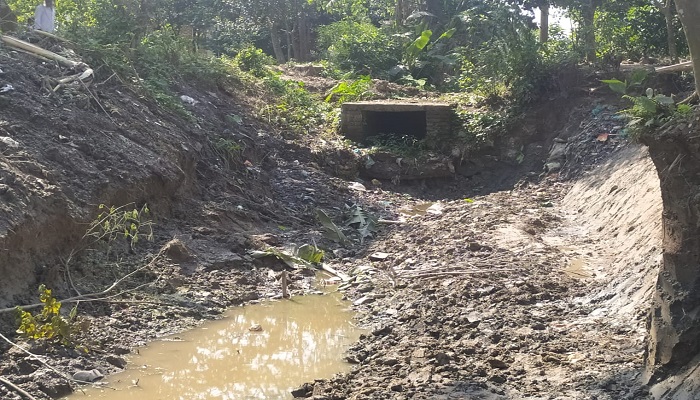নয়াচর-খলিলাবাদ খালের কালভার্টটি কৃষকের গলার কাঁটা
