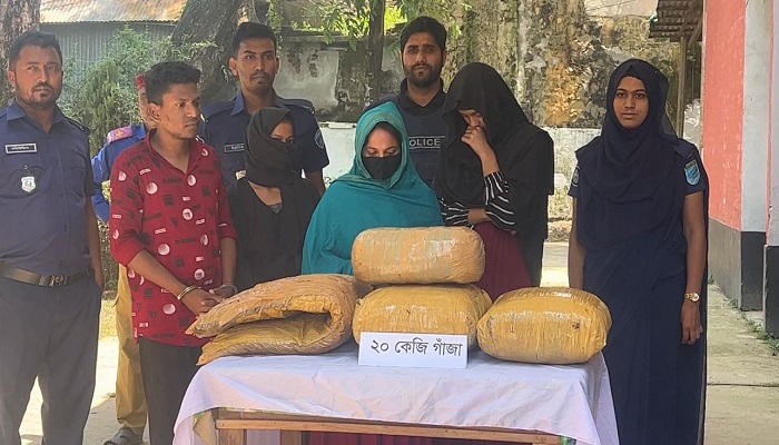 নবীনগরে ২০ কেজি গাঁজাসহ গ্রেপ্তার ৪