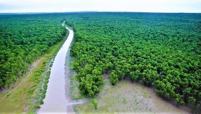 সুন্দরবন রক্ষায় বনকর্মীদের ঈদের ছুটি বাতিল