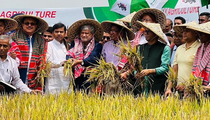 বোরো ধান কর্তন উৎসবে তিন মন্ত্রী
