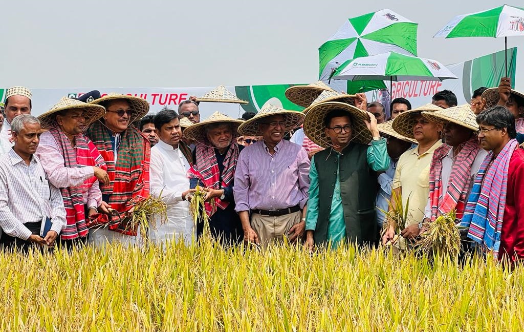 বোরো ধান কর্তন উৎসবে তিন মন্ত্রী