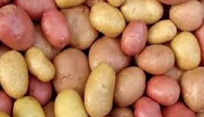 বাংলাদেশ থেকে আলু নিতে চায় জাপান