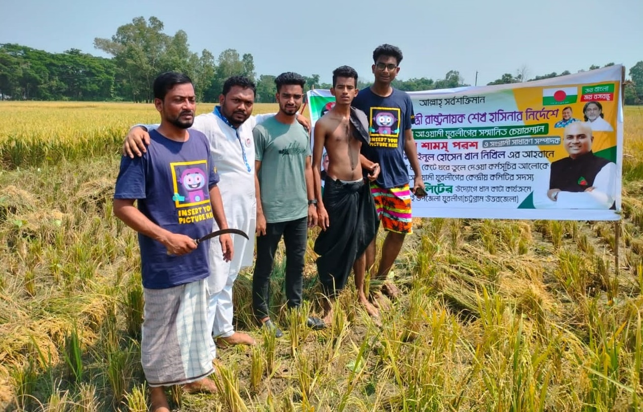 মিরসরাইয়ে কৃষকের ধান কেটে বাড়ি পৌঁছে দিয়েছে যুবলীগ
