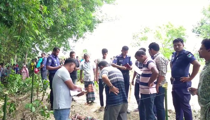 গাংনীতে কৃষককে কুপিয়ে হত্যা