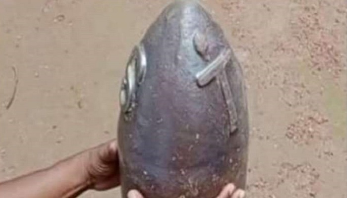 তালায় সীমানা পিলারসহ আটক ৩