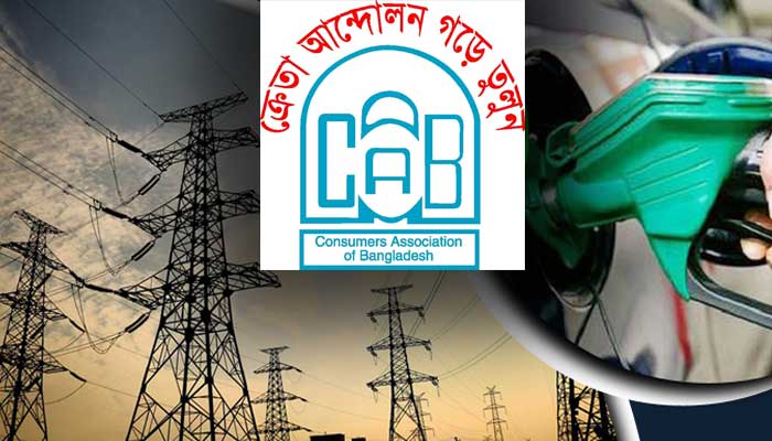 বিদ্যুৎ-জ্বালানির মূল্য নির্ধারণের এখতিয়ার ফেরানোর দাবি ক্যাবের