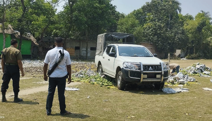 দেবহাটায় রাসায়নিক মেশানো ৫ টন আম বিনষ্ট