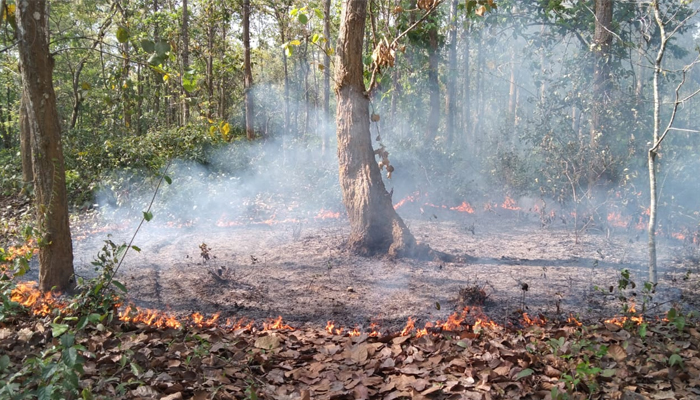 আগুনে পুড়ছে গারো পাহাড়