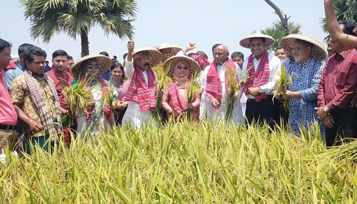 নেত্রকোণায় বোরো ধান কাটা উৎসবে সমাজকল্যাণ প্রতিমন্ত্রী
