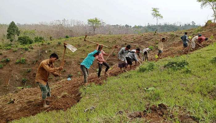 পানছড়িতে ন্যাড়া পাহাড়ে ফসল ফলাতে ব্যস্ত জুমিয়ারা