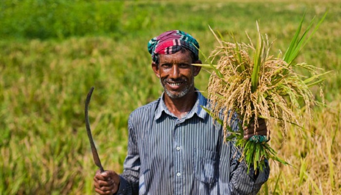হাওড়জুড়ে কৃষকের মুখে সোনার হাসি
