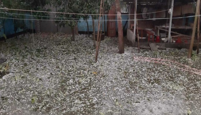 কালবৈশাখী ও শিলাবৃষ্টিতে ব্যাপক ক্ষতি