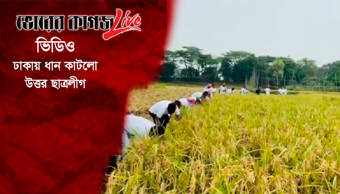 এবার ঢাকায় ধান কাটলো উত্তর ছাত্রলীগ