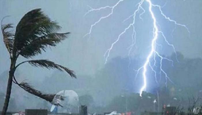 কালবৈশাখী ঝড়: শেরপুরে উপড়েপড়া গাছ হরিলুটের অভিযোগ