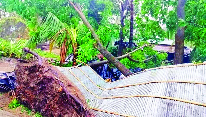 লণ্ডভণ্ড সেন্টমার্টিন-টেকনাফ