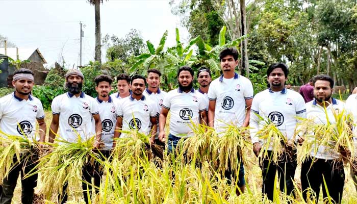 দেবিদ্বারে বিধবা কৃষাণীর ধান কেটে বাড়িতে পৌঁছে দিলো ছাত্রলীগ