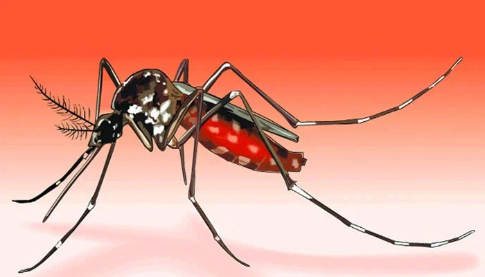 রাজধানীজুড়ে মশার রাজত্ব