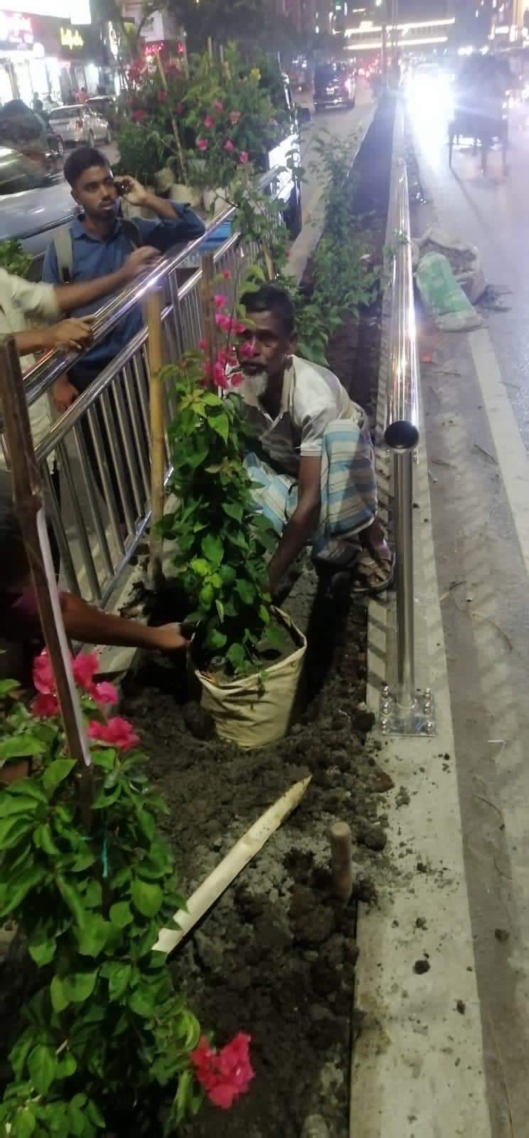 নানা ফুলের গাছে সজ্জিত হচ্ছে সাত মসজিদ সড়কের বিভাজক
