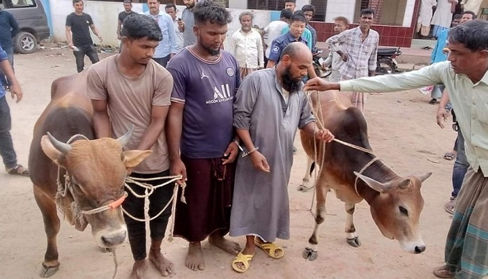 লোহাগাড়ায় চোরাই গরু বিক্রিকালে আটক ৩