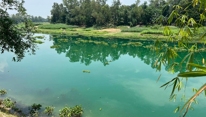ইন্ডাস্ট্রির বর্জ্যে ১৪ কোটি টাকার মাছ নষ্ট