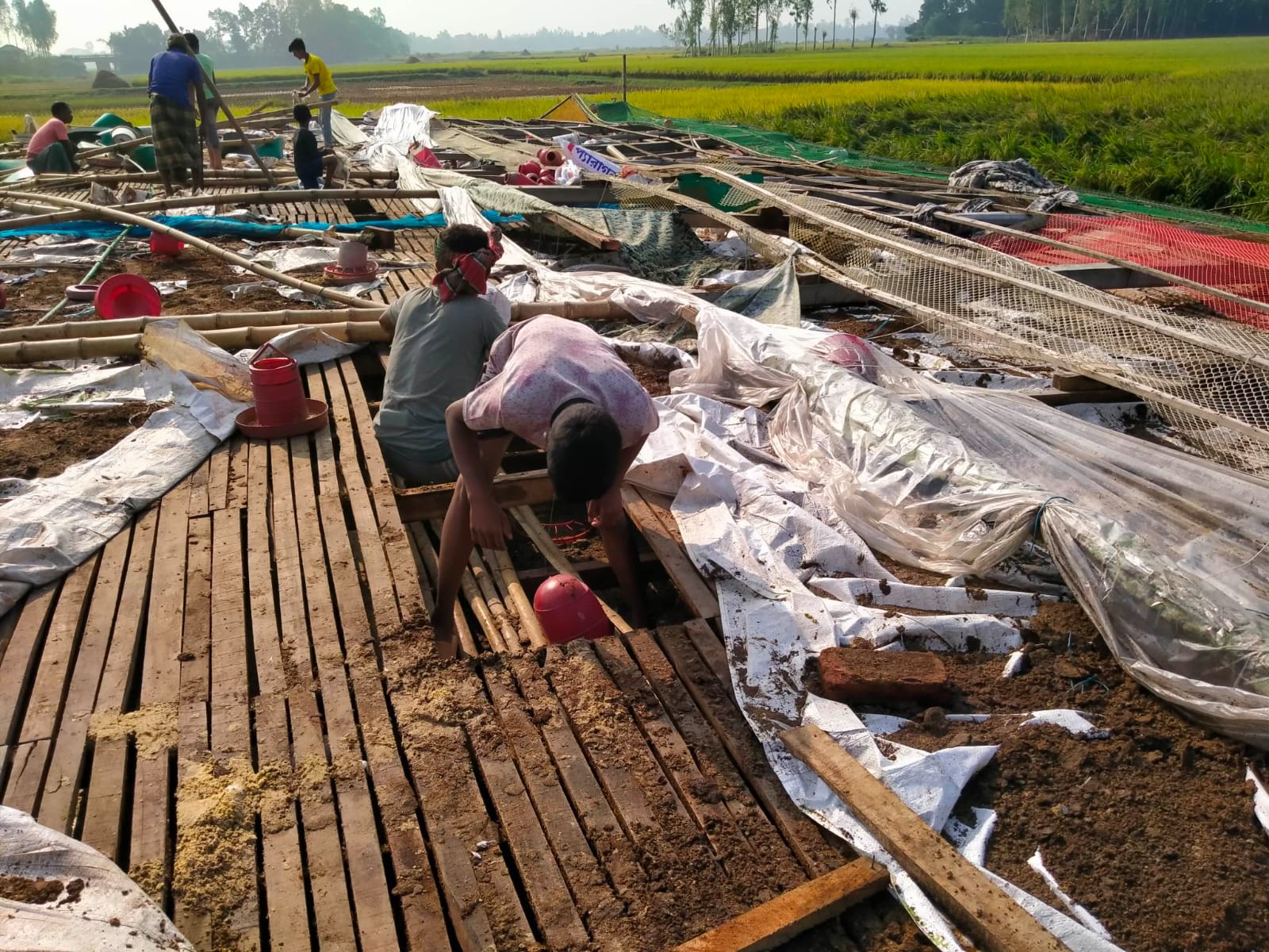 নাগরপুরে কালবৈশাখী ঝড়ে পোল্ট্রি খামারে ব্যাপক ক্ষয়ক্ষতি
