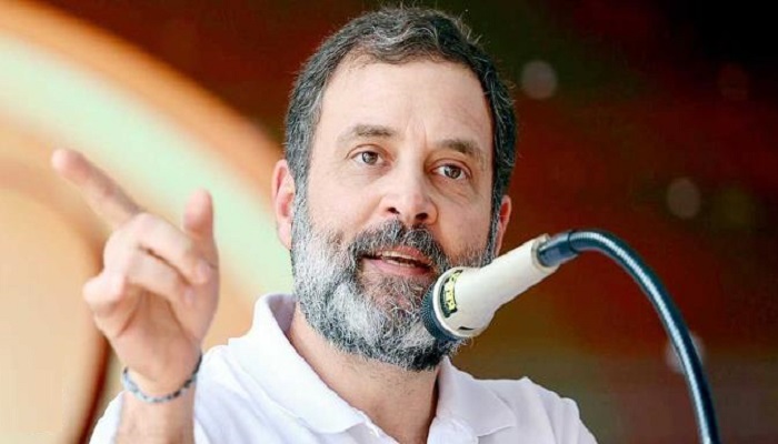 কূটনৈতিক পাসপোর্ট ফেরত দিয়ে ‘সাধারণ’ হতে চান রাহুল