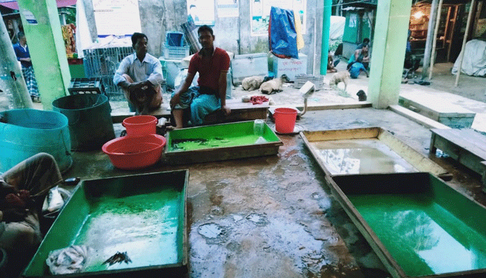 বিল শুকিয়ে মৎস্য আহরণের চেষ্টা জেলেদের