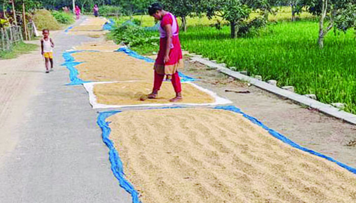 সড়ক যেন ধানের চাতাল বাড়ছে দুর্ঘটনার ঝুঁকি