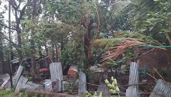 টেকনাফে ভেঙে পড়ছে ঘরবাড়ি-গাছপালা
