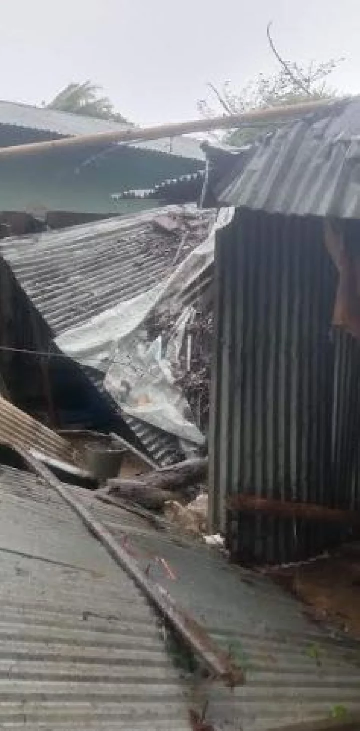 সেন্টমার্টিনে মোকার তাণ্ডব, বাতাসের গতিবেগ ১৪৭ কি.মি.