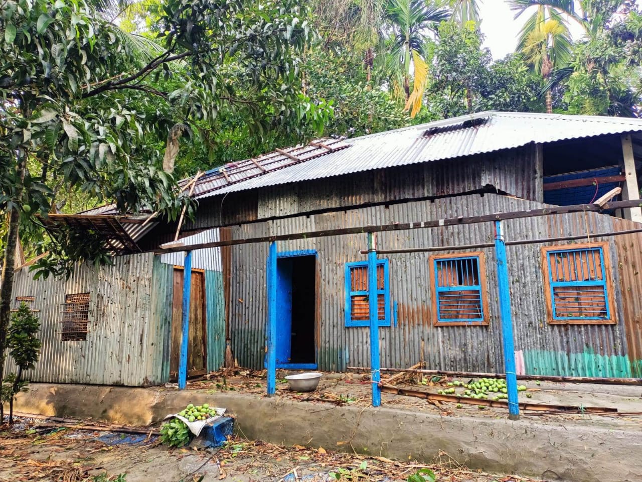 নাগরপুরে কালবৈশাখী ঝড় ও শিলাবৃষ্টিতে ব্যাপক ক্ষয়ক্ষতি
