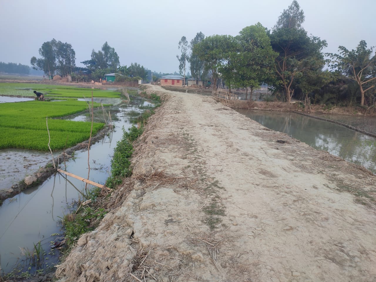 বাঁশখালীতে পকেট ভারি হচ্ছে জনপ্রতিনিধির