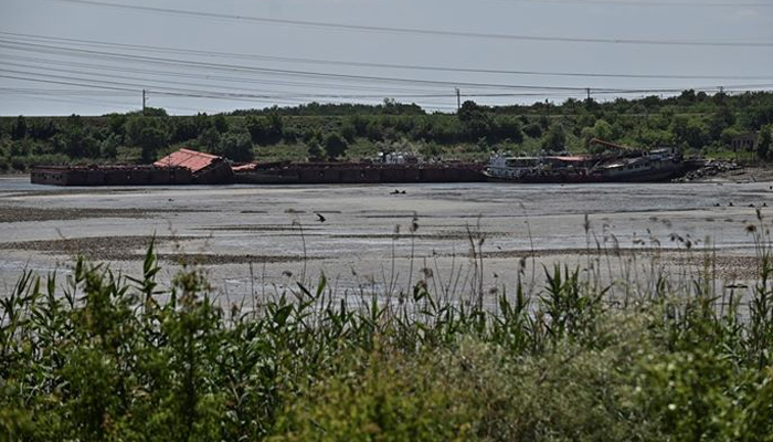 ইউক্রেনে মৃত্যুমুখে এক লাখ ৮০ হাজার পাখি