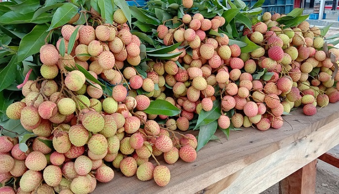 ফ্রান্সে যাচ্ছে দিনাজপুরের লিচু