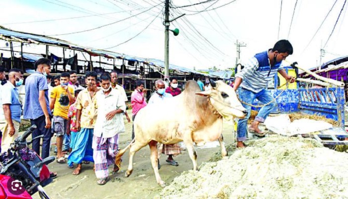 জাল নোট শনাক্তে পশুর হাটে বুথ বসাতে নির্দেশ