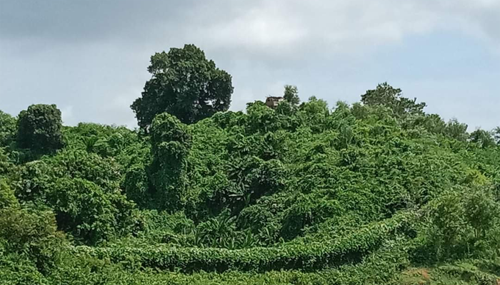 রুমায় কেএনএফ সন্ত্রাসীদের বোমায় সেনা নিহত