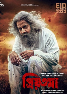 বড় পর্দায় জমজমাট লড়াই