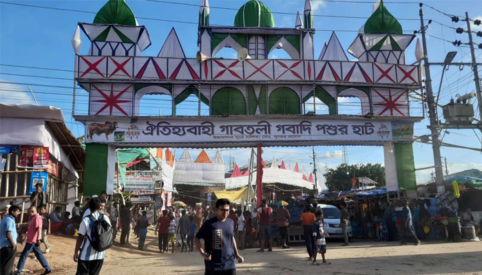 বড় আকারের গরু উট-দুম্বায় আকর্ষণ