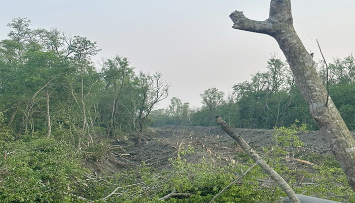 মিরসরাইয়ে সংরক্ষিত বনাঞ্চলের গাছ কেটে মাটি বিক্রি