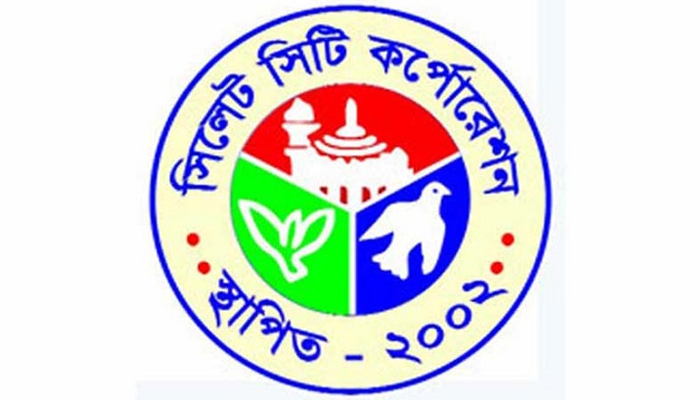 নির্বাচনী প্রচারণায় অংশ নিতে দল বেঁধে সিলেটে আসছেন প্রবাসীরা