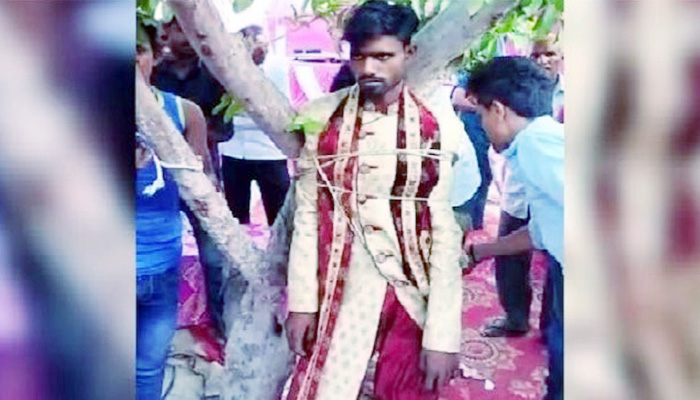 যৌতুক চাওয়ায় বরকে গাছে বেঁধে রাখল পাত্রীপক্ষ