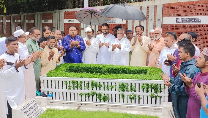কোকোর কবর জিয়ারত করলেন বিএনপি নেতারা