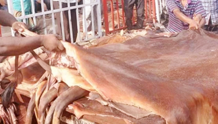কাঁচা চামড়ার দাম নির্ধারণ আজ