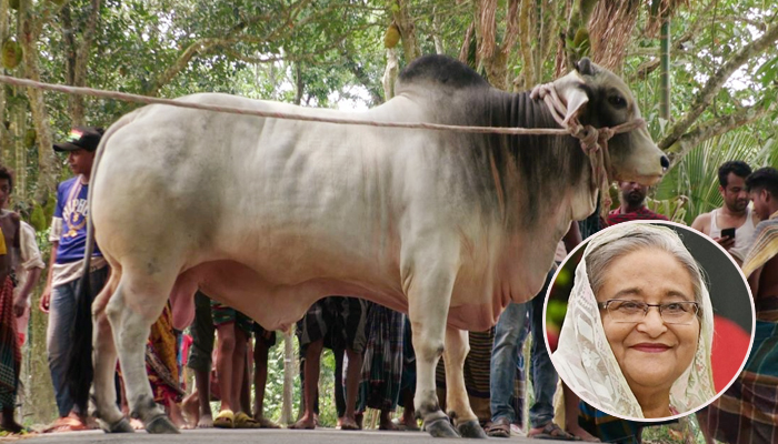 নোয়াখালীতে ব্যবসায়ীকে জবাই করে হত্যা
