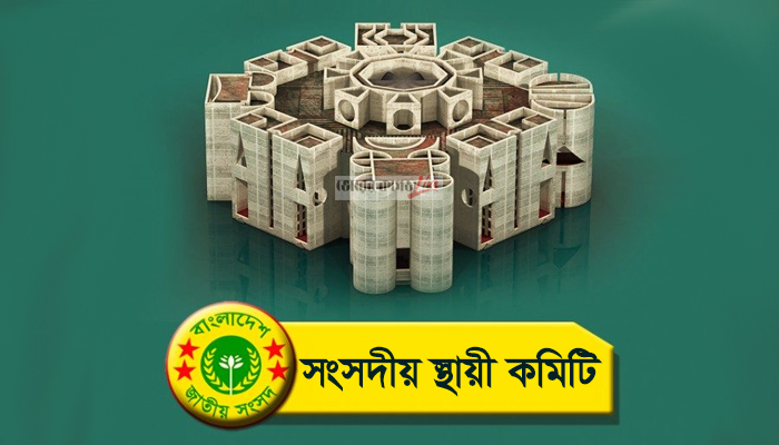 সংসদীয় স্থায়ী কমিটি অকার্যকর!